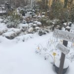 IMG-20180303-WA0005