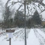 IMG-20180303-WA0006