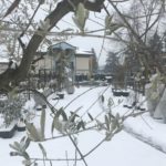 IMG-20180303-WA0008