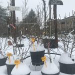 IMG-20180303-WA0009 1
