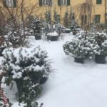 IMG-20180303-WA0011 1
