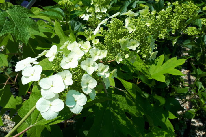 20190605_142543