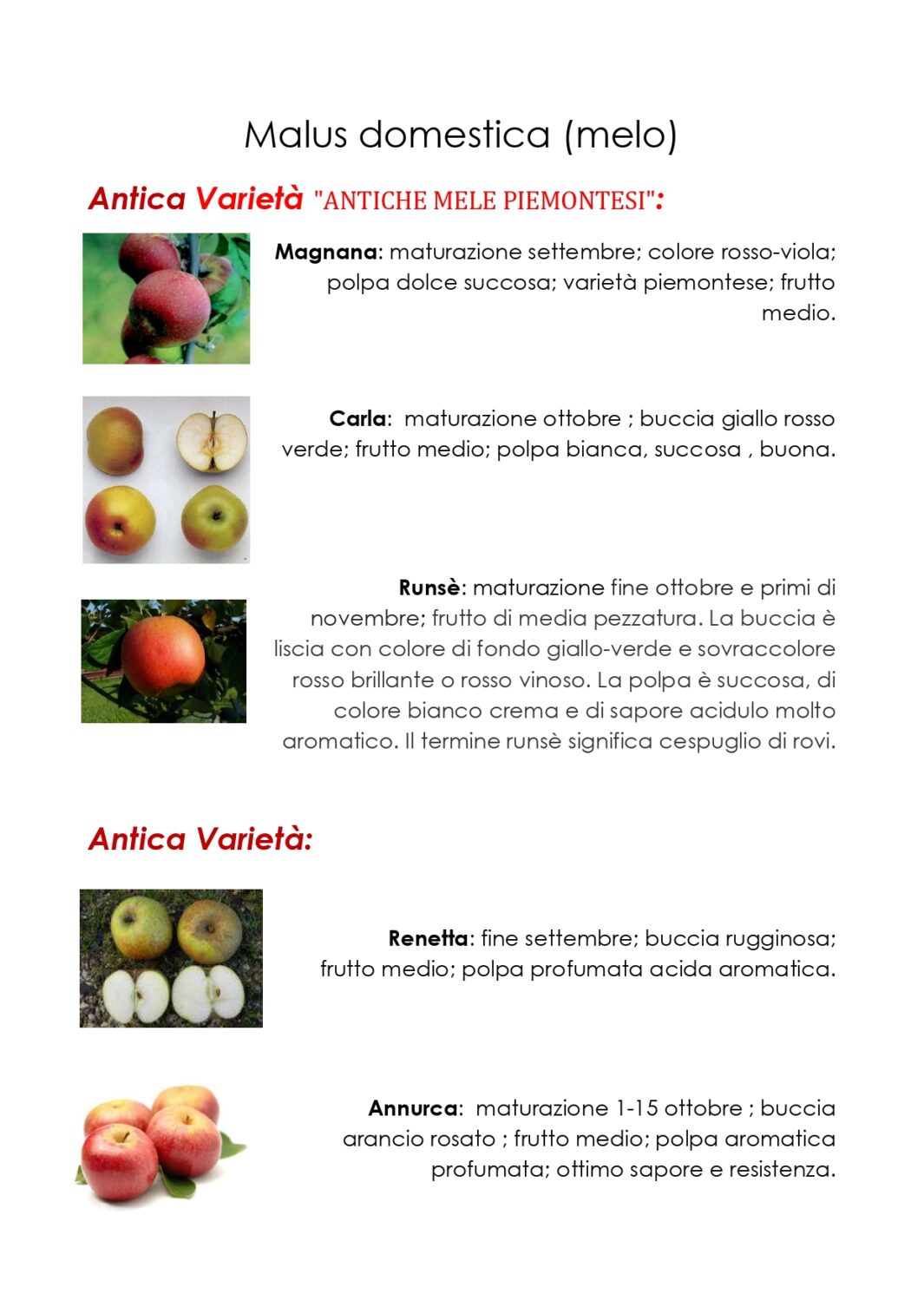 Meli, varietà antiche in vendita