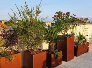 Terrazzo a Genova - Restyling del verde