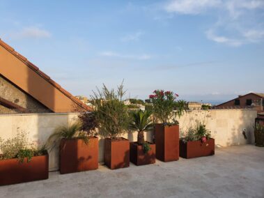 Terrazzo a Genova - Restyling del verde