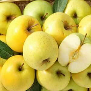 Melo Golden Delicious