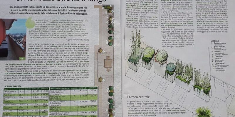 casa in fiore marzo