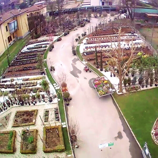 vivaio-piemonte-vendita-piante-fiori-shop-commercio-elettronico