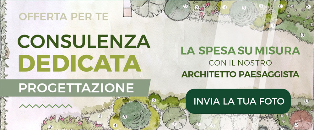 Progettazione spazi verdi - Offerta gratuita