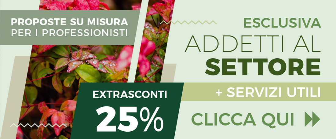 vendita-piante-ingrosso-servizi-professionisti-giardinaggio-sconto-giardino-architetti-giardinieri-imprese-edili-banner Produzione e vendita piante e fiori online - Sconti vivaio per giardinieri e professionisti del verde