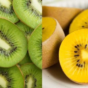 Kiwi actinidia chinensis