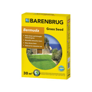 Semi per prato Transcontinental Bermudagrass Barenbrug