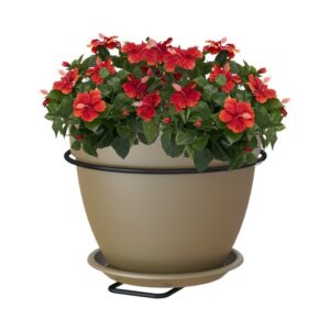 Kit vaso campana capri