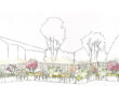 come-creare-una-siepe-mista-progettazione-giardini