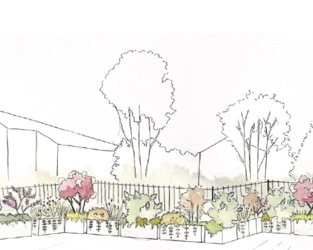 Siepe mista (progetto) come-creare-una-siepe-mista-progettazione-giardini
