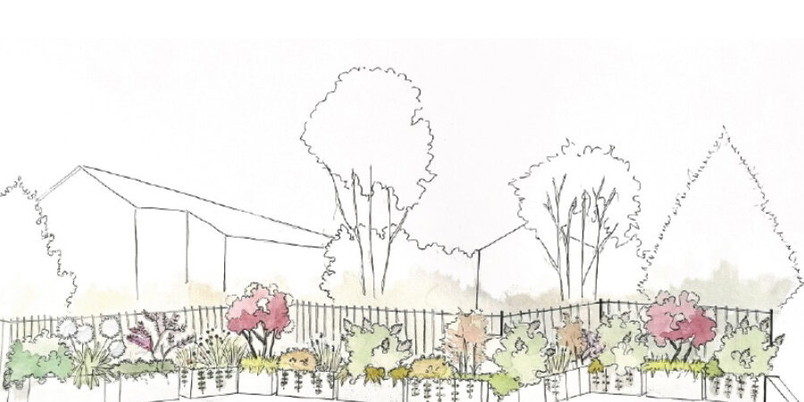 come-creare-una-siepe-mista-progettazione-giardini