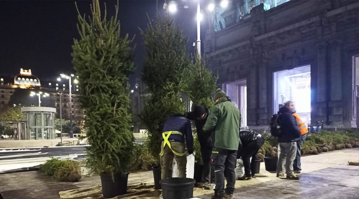 vendita-piante-online-milano-stazione-centrale-allestimento