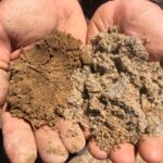 Terreno sabbioso-limoso gradazioni