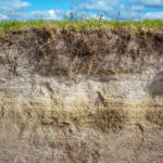 Terreno sabbioso sezione verticale