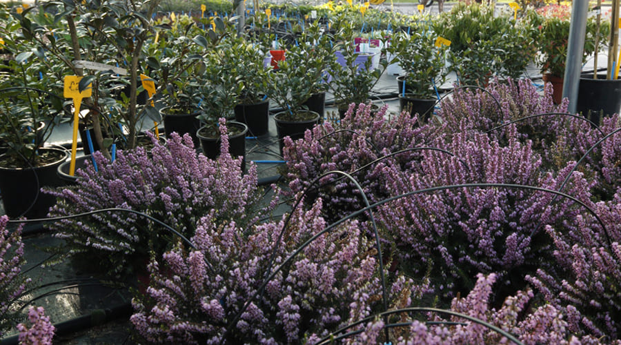 i-lavori-da-fare-nel-mese-di-aprile-giardinaggio-giardino-orto-verde-commerce