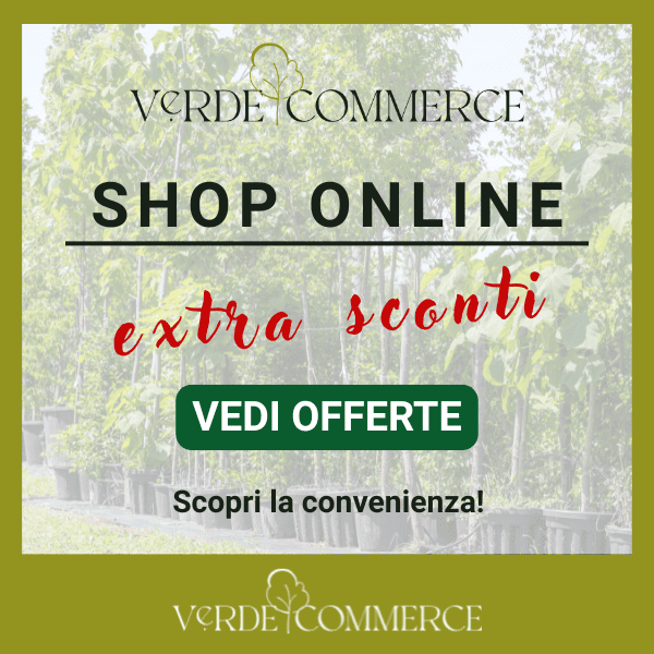 Vendita piante online - Extra Sconti e Offerte