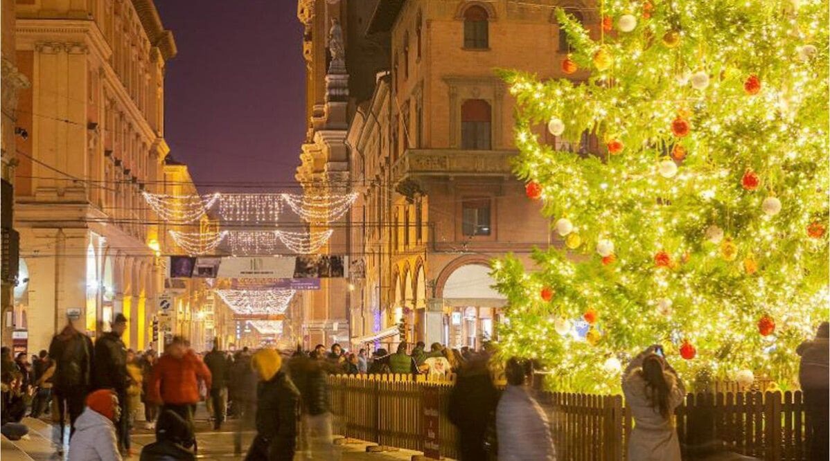 alberi-di-natale-abete-del-caucaso-vendita-verde-commerce-albero-in-piazza